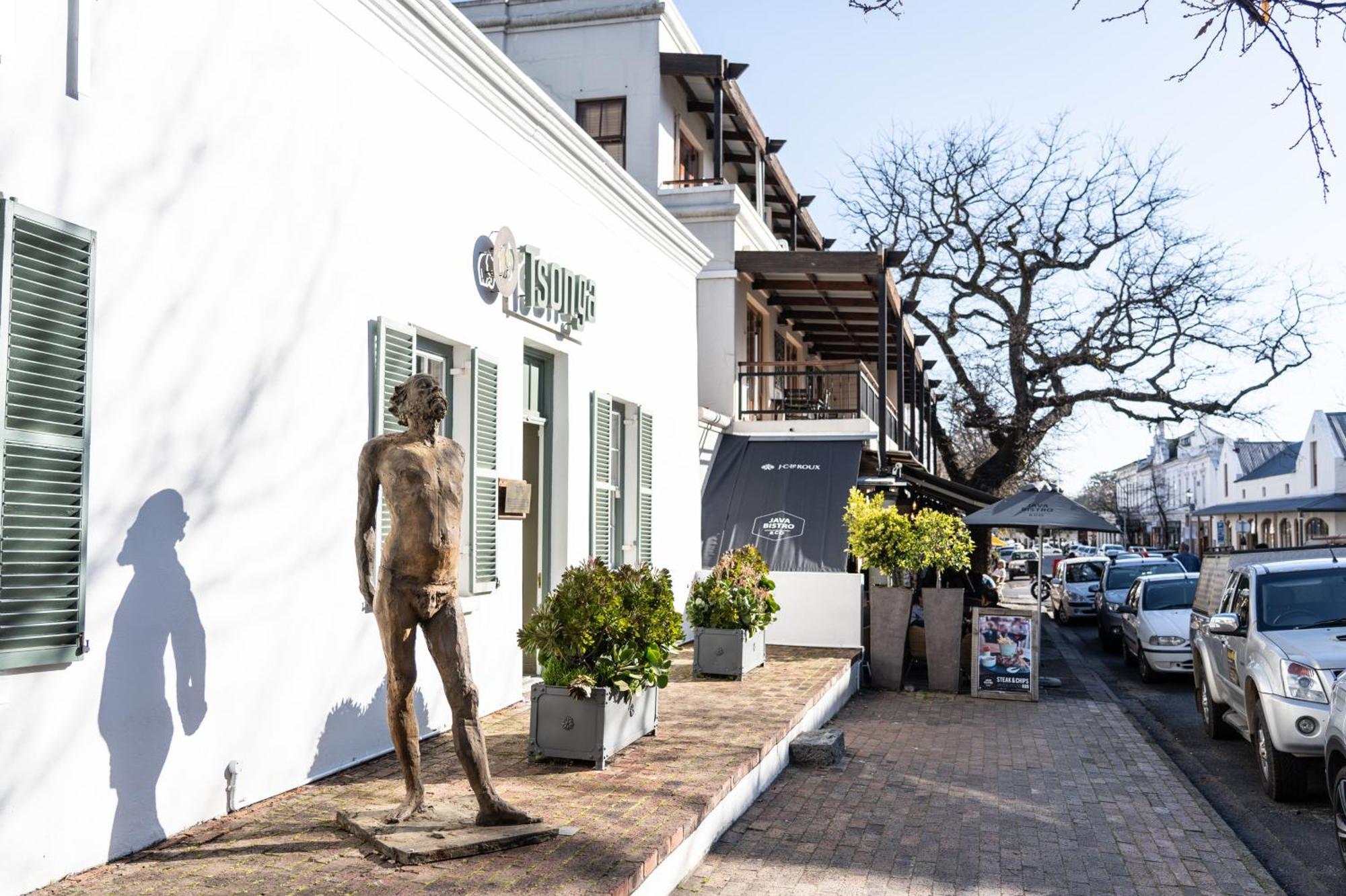 Avemore Jan Cats No 2 Full Power Back Up Stellenbosch Kültér fotó